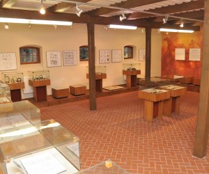 Odnowiona ekspozycja Muzeum Weterynarii