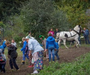 Jesień w Polu i Zagrodzie 2018 - fotorelacja