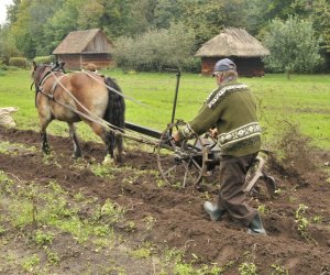 Wykopki w skansenie podsumowanie, fotorelacja.