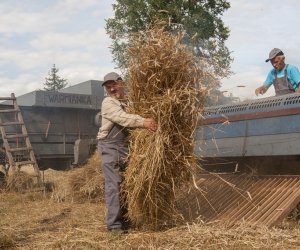 XVI Podlaskie Święto Chleba