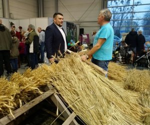 Narodowa Wystawa Rolnicza w Poznaniu