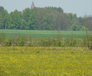 Zwyczaj święcenia pól – dawniej i dzisiaj…