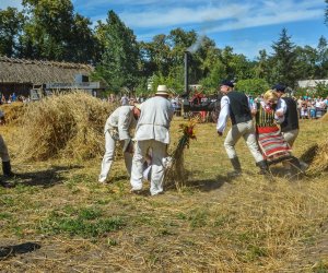 XV Podlaskie Święta Chleba w Muzeum Rolnictwa im. ks. Krzysztofa Kluka w Ciechanowcu