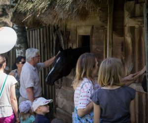 IX Zajazd Wysokomazowiecki - fotorelacja