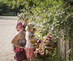 Odpust na św. Antoniego - fotorelacja