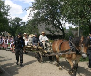 XII Podlaskie Święto Chleba, 12.08.2012 r.