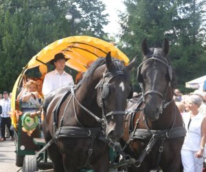 XII Podlaskie Święto Chleba, 12.08.2012 r.