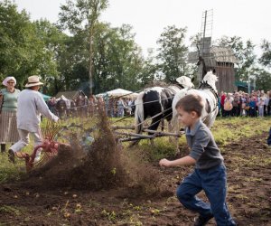 Impreza plenerowa - Jesień w Polu i Zagrodzie