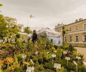 Jarmark Św. Wojciecha i Festyn Leśny 2014