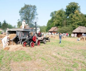 X PODLASKIE ŚWIĘTO CHLEBA