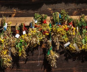 XV Podlaskie Święta Chleba w Muzeum Rolnictwa im. ks. Krzysztofa Kluka w Ciechanowcu
