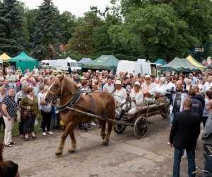 XVII Podlaskie Święto Chleba - fotorelacja