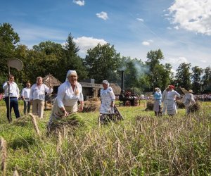 XVIII Podlaskie Święto Chleba - fotorelacja