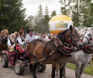 XVI Podlaskie Święto Chleba