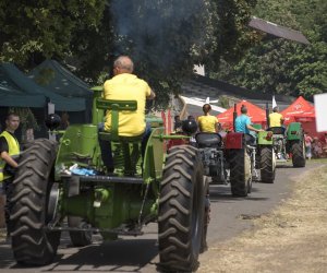 Piknik "Poznaj Zdrową Żywność" - fotorelacja