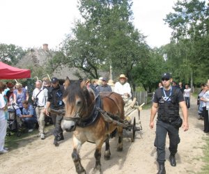 XII Podlaskie Święto Chleba, 12.08.2012 r.