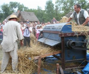 VI Podlaskie Święto Chleba