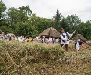 XVII Podlaskie Święto Chleba - fotorelacja