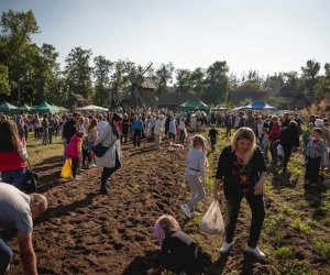 Jesień w polu i zagrodzie - fotorelacja