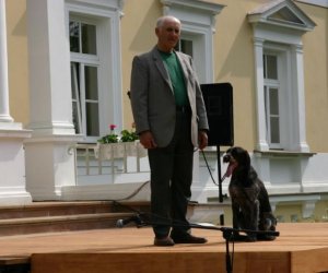 Święto lasu