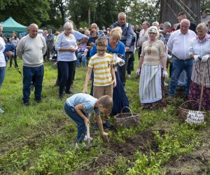 Jesień w polu i zagrodzie - fotorelacja - 15 września 2024