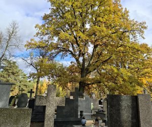 NIECOdziennik Muzealny - Ogrody Wiecznej Pamięci