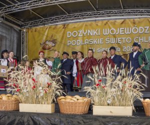 Dożynki Wojewódzkie i XX Podlaskie Święto Chleba - fotorelacja