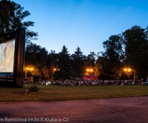 Odpust na św. Antoniego 2016