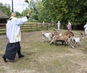 XXII Podlaskie Święto Chleba - fotorelacja