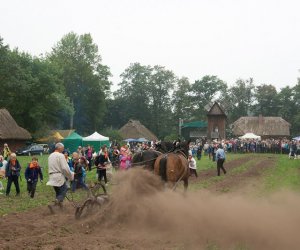 JESIEŃ W POLU I ZAGRODZIE