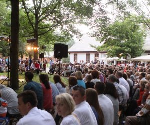 VIII Zajazd Wysokomazowiecki, 15.07.2012.