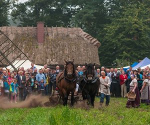 JESIEŃ W POLU I ZAGRODZIE