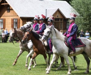 VIII Zajazd Wysokomazowiecki, 15.07.2012.