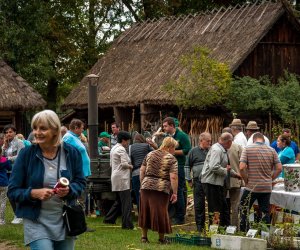 Jesień w polu i zagrodzie