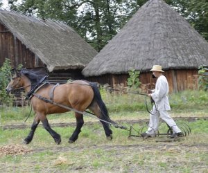 Kolejny odcinek "Księgi obyczaju" w naszym Muzeum