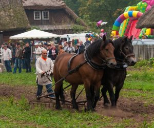 JESIEŃ W POLU I ZAGRODZIE