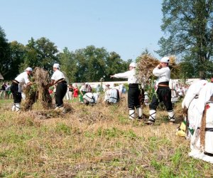 X PODLASKIE ŚWIĘTO CHLEBA