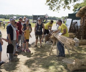 Piknik "Poznaj Zdrową Żywność" - fotorelacja