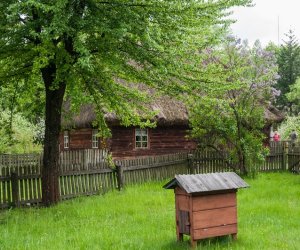 Ludowe Zielone Świątki - święto kościelne Zesłania Ducha Świętego, zamykającego cykl Wielkanocy 15 maja 2016 r.