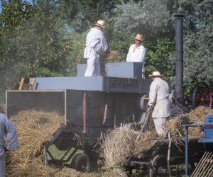 XXII Podlaskie Święto Chleba - fotorelacja