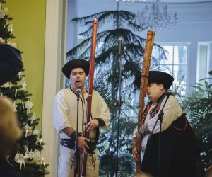Ligawki 2018