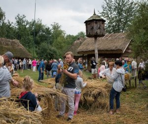 XVII Podlaskie Święto Chleba - fotorelacja