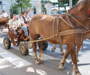 IX Podlaskie Święto Chleba