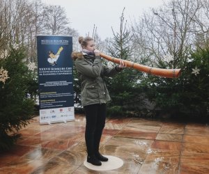 Ligawki 2018