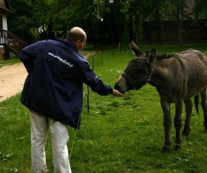 Początek wiosny w Muzeum Rolnictwa im. ks. K. Kluka w Ciechanowcu to czas dla zwierząt.