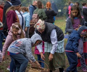 Jesień w Polu i Zagrodzie 2018 - fotorelacja