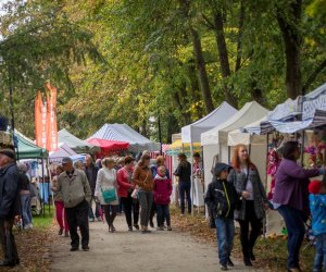Jesień w Polu i Zagrodzie 2018 - fotorelacja