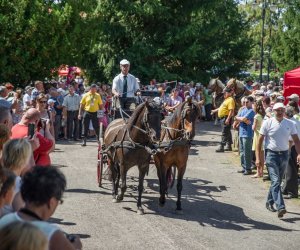 XV Podlaskie Święta Chleba w Muzeum Rolnictwa im. ks. Krzysztofa Kluka w Ciechanowcu