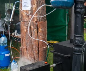 Jarmark św. Wojciecha i Święto Lasu