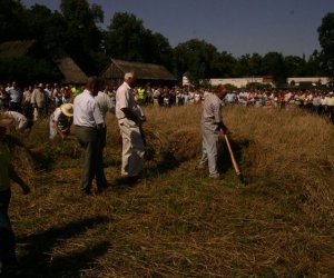 IX Podlaskie Święto Chleba